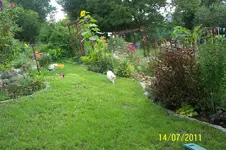 100_2935.webp