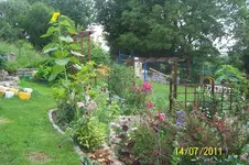 100_2936.webp