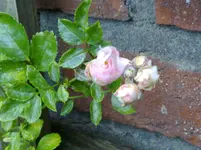 15072011139.webp