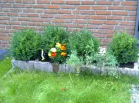 15072011147.webp