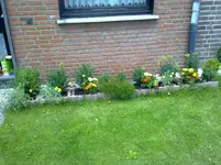 15072011146.webp