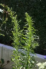 Bild 1.webp