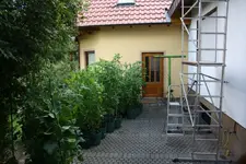 Gerüst.webp