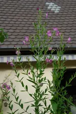 Dsc_0836.webp