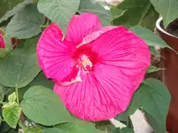 DSCF0850.webp