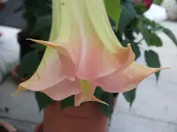 DSCF0853.webp