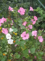IMG_5438.webp