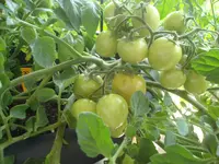 DSC02812.webp