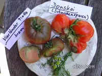 BILD0053.webp
