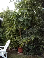 DSC01578.webp