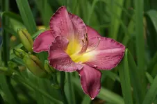DSC05816.webp