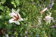 DSC05812.webp