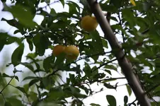 Akte X 2011 158.webp