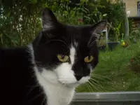 IMGP3775.webp