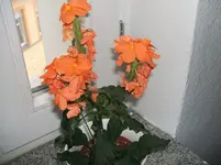 2011_0714070002.webp