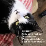 downunder v.webp
