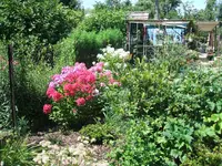 2011_0715070002.webp