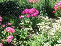 2011_0715070003.webp
