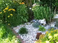 DSCF5787.webp
