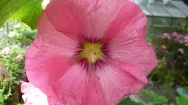 K800_Sommer 013.webp