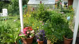 Kunterbunt.webp