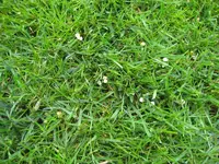 IMG_2912_1.webp