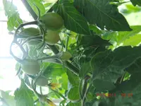 CIMG2992.webp