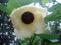 Juni_2011_024.webp