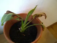 IMG-20110717-00044.webp
