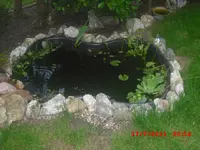 CIMG0066.webp