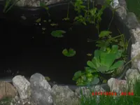 CIMG0068.webp