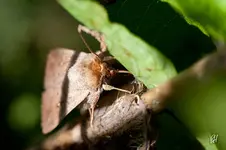 blog_3362.webp