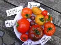 BILD0056.webp