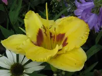 IMG_as 10-08.2_1067x800.webp