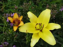 IMG_groß-klein_1067x800.webp