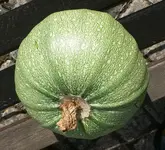 zuchini_cremesüppchen_I!.webp