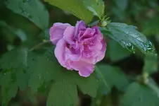 DSC05843.webp
