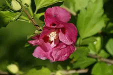 DSC05844.webp