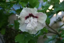 DSC05845.webp