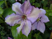 068.webp