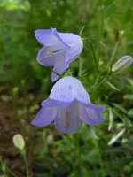 120.webp