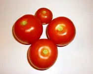 Ernte17072011.webp