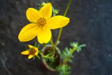 2011 07 19 047.webp