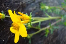 2011 07 19 044.webp