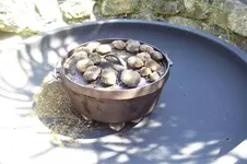 K800_100_2654.webp