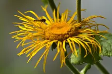 19.7.11 7D 70-200L4 (3 von 28).webp