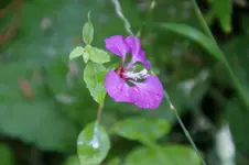 DSC05846.webp