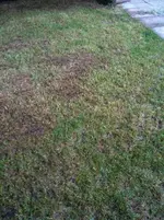 Foto2.webp