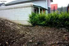 Garten3.webp Garten3.webp