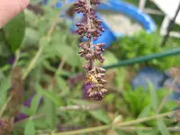 IMG_5519.webp
